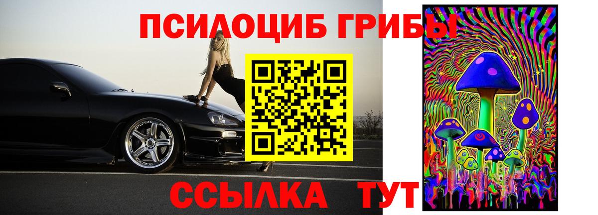 Псилоцибиновые грибы прущие грибы  купить  цена  Карталы  Вход с VPN 